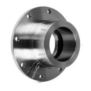 Companion Flanges